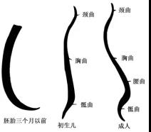 微信图片_20210223104515.jpg